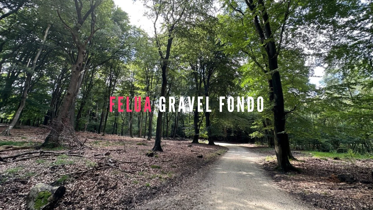 Felua Gravel Fondo February.webp