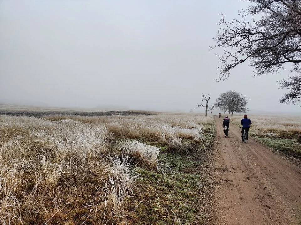 felua-gravel-fondo.jpg