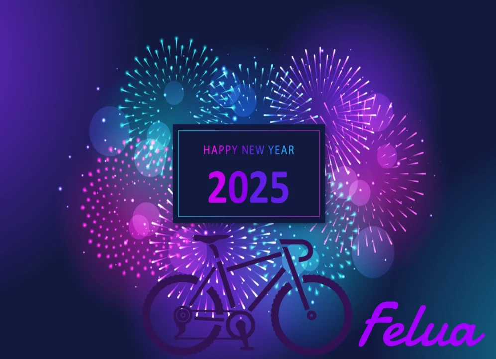 new year 2025.png